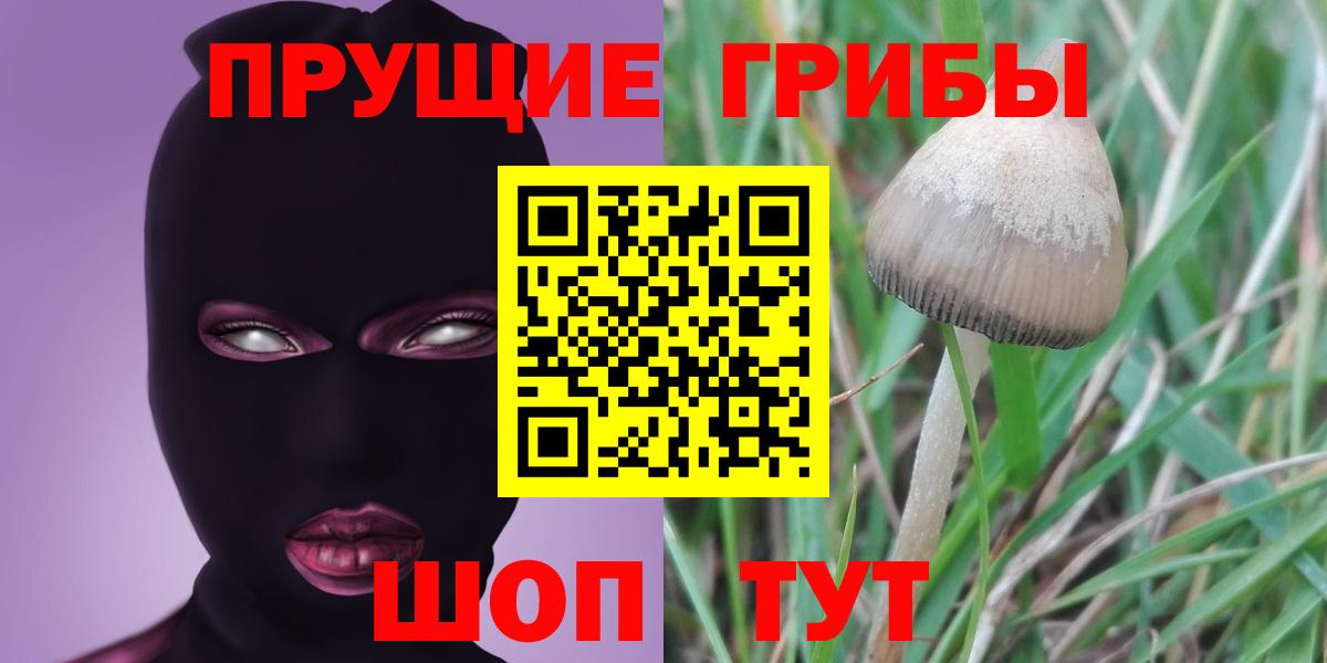 Галлюциногенные грибы GOLDEN TEACHER  Вход с VPN  дарнет шоп  Кировск 