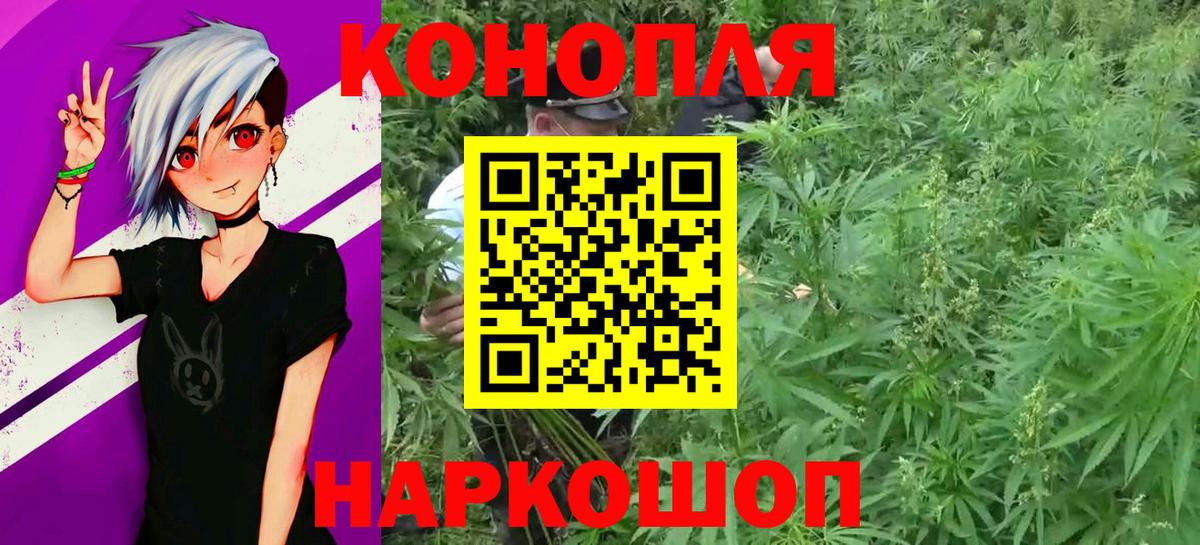 Кировск  Каннабис конопля  Бошки марихуана семена  Марихуана марихуана  Вход с VPN 